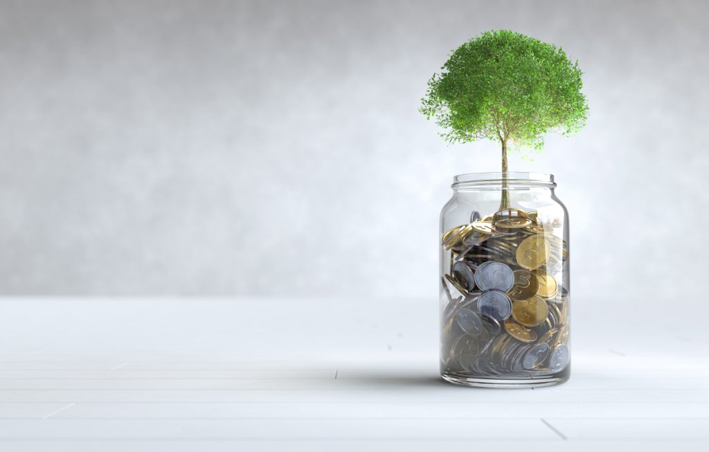 Growth through investment