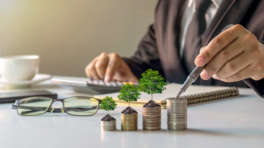 Investment Growth