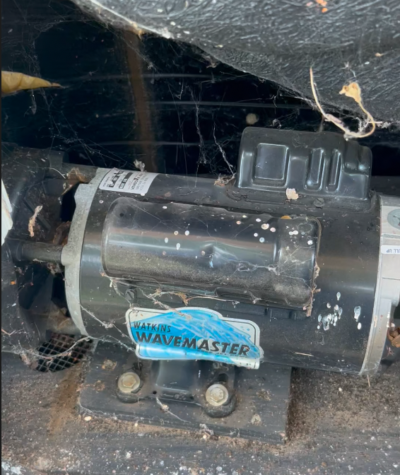 Failed pump with damaged seal