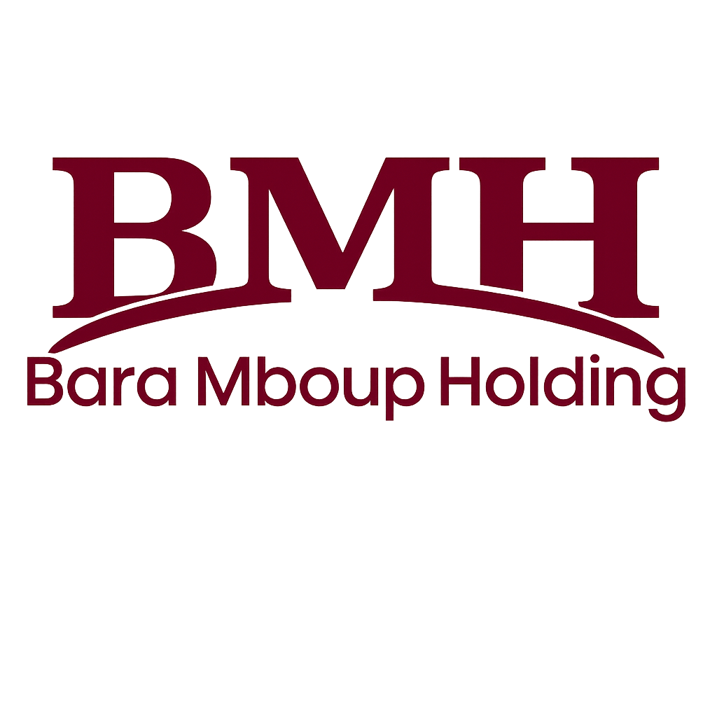 Logo Bara Mboup Holding