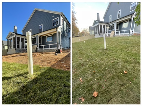 Before & After: Backyard Sod