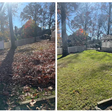 Leaf Removal