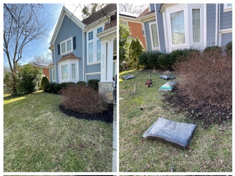 Mulch Installation in Progress