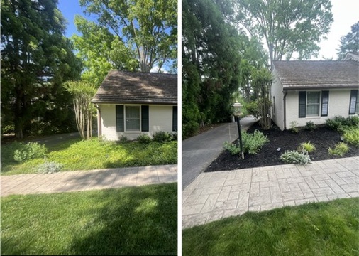 Before & After: Mulch Bed Refresh