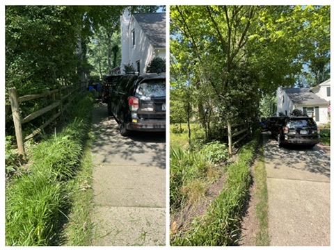 Before & After: Fence Line Clearing