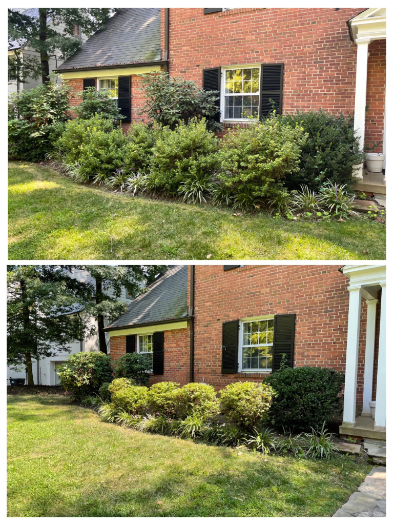 Residential Lawn