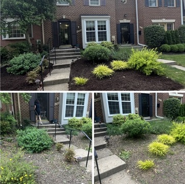 Front Entry Landscaping