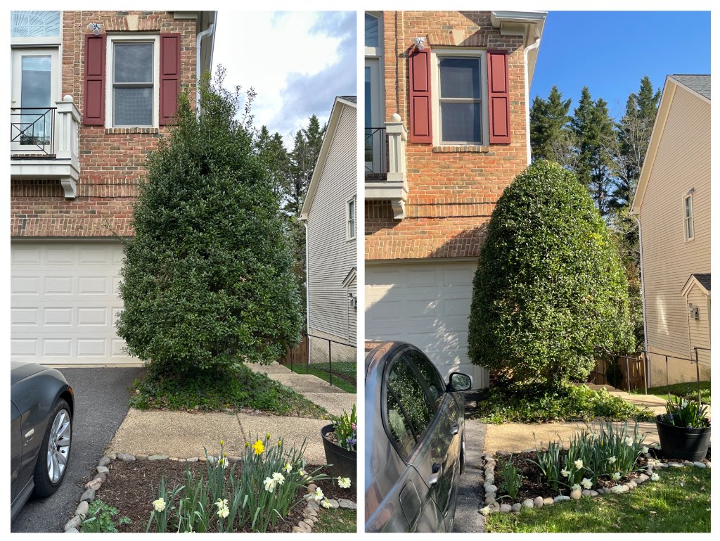 Good Blessings Lawn Care project