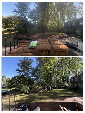 Before & After: Sod Installation from Trailer