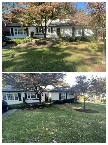 Before & After: Front Yard Makeover