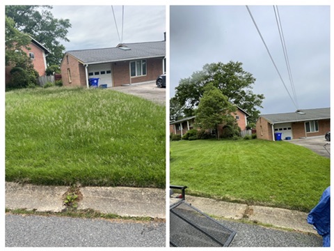 Before & After: Overgrown Lawn Cleanup