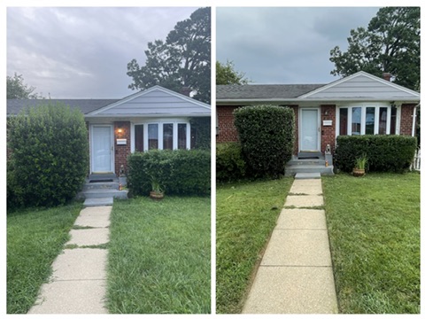 Before & After: Shrub Pruning