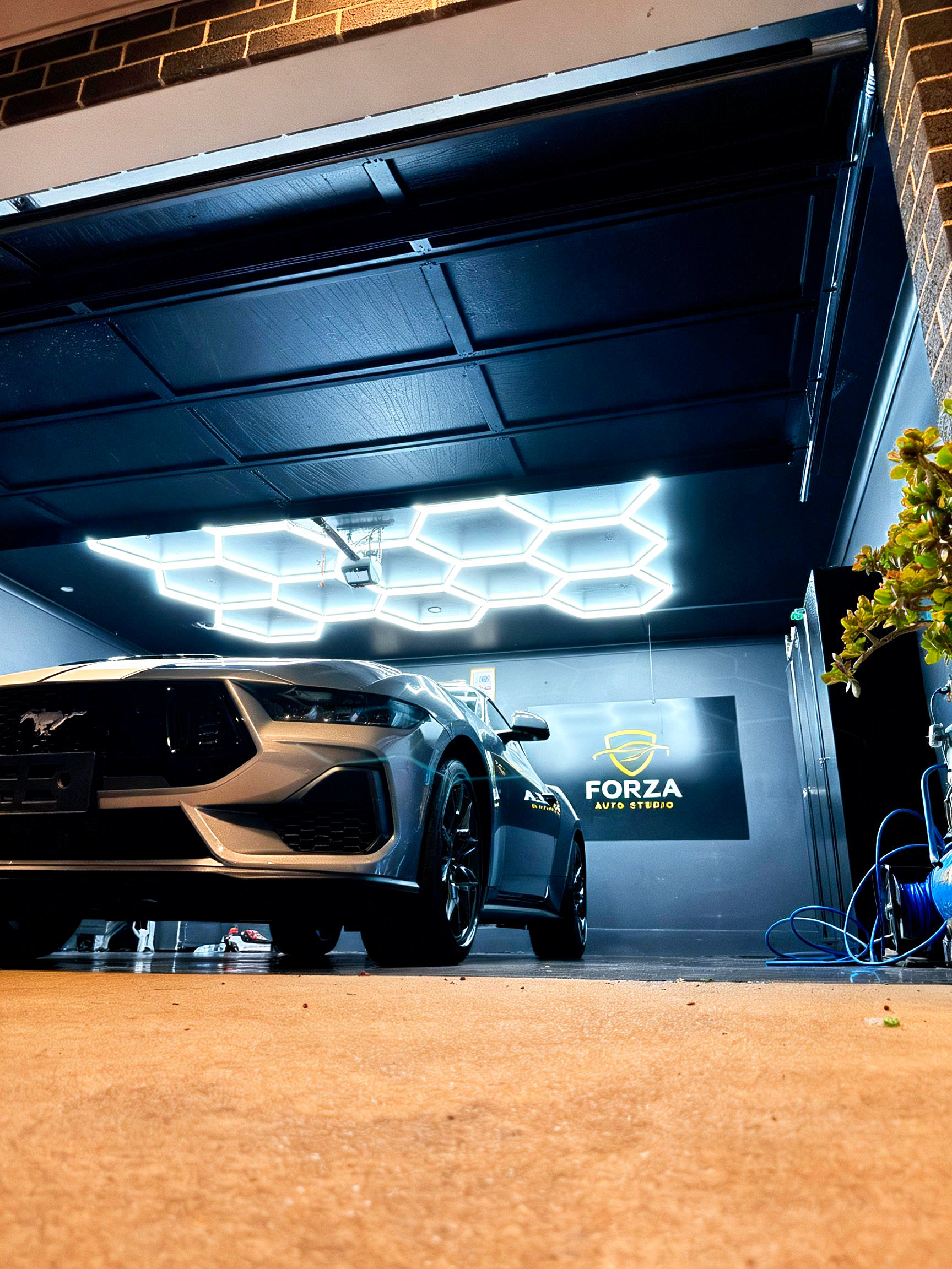 The Forza Auto Studio interior — one vehicle at a time under controlled hexagonal lighting, Canberra