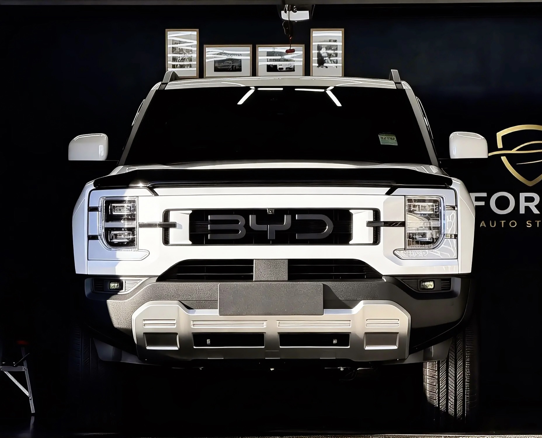 2026 BYD Shark