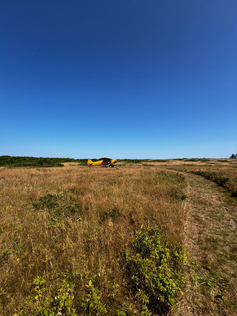 Tailwheel aircraft in field