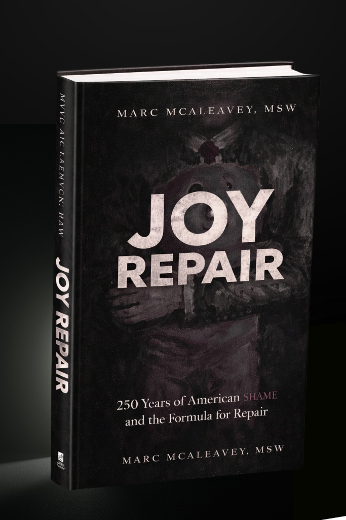 Joy Repair Book