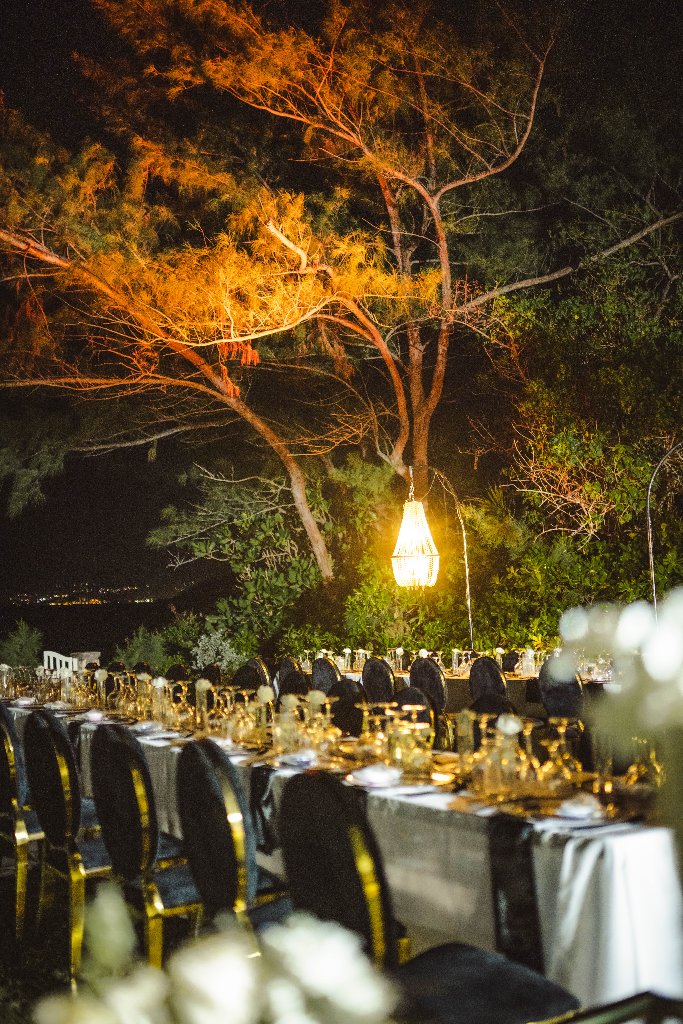 Evening reception under lit tree with gold accents and elegant dining