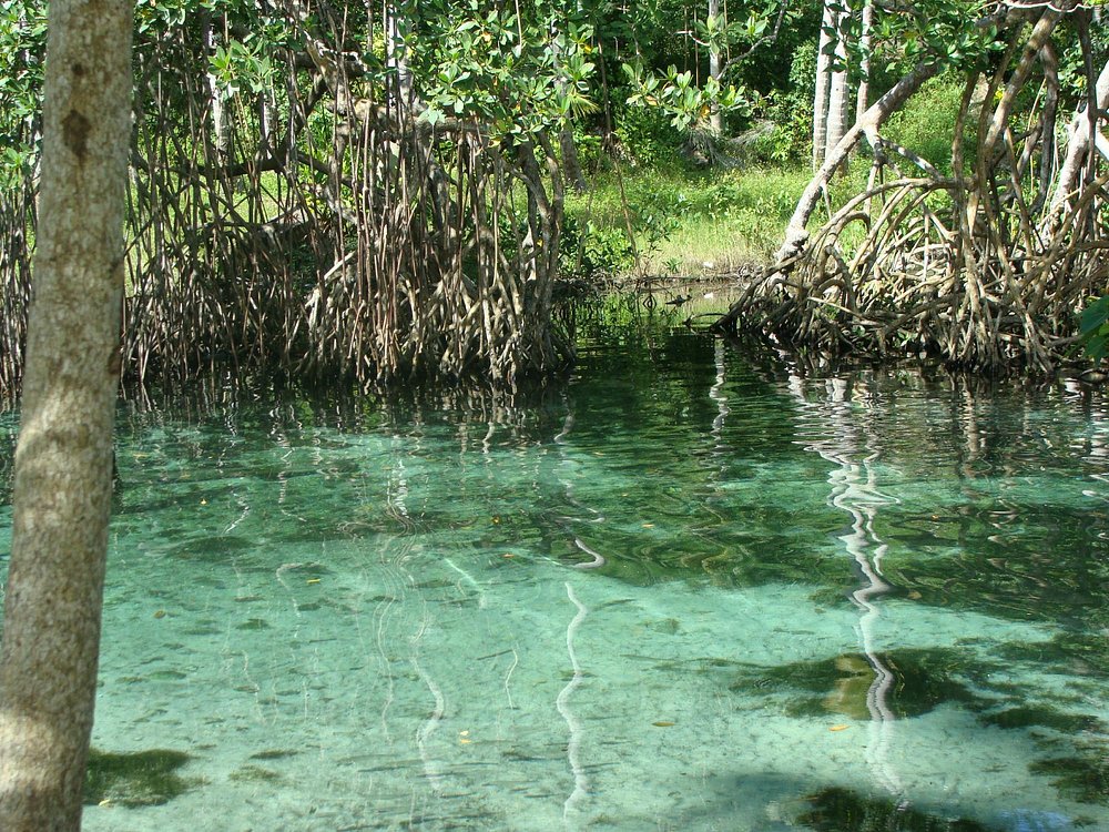 Playa Rincón - imagen 5
