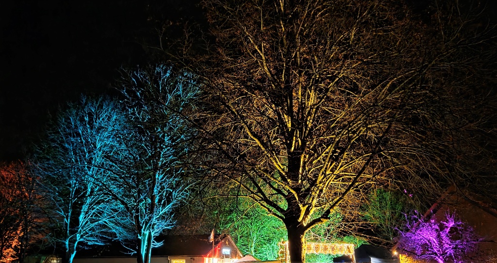 Licht & Ambiente