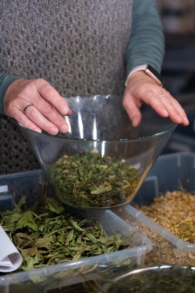 Heimische Kräuter – Tee mischen & genießen