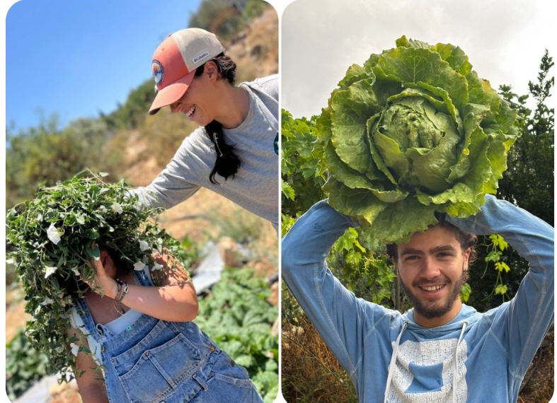 חום הקיץ מלווה אותנו לאן שלא נלך