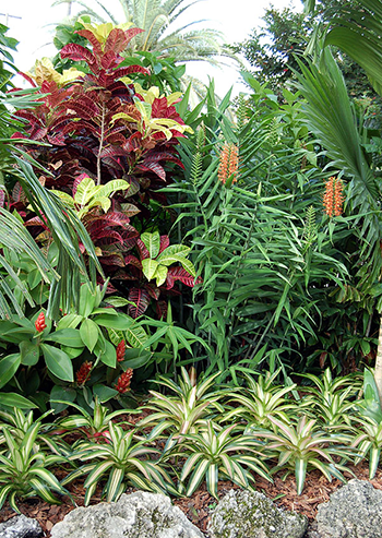 Garden inspiration 6
