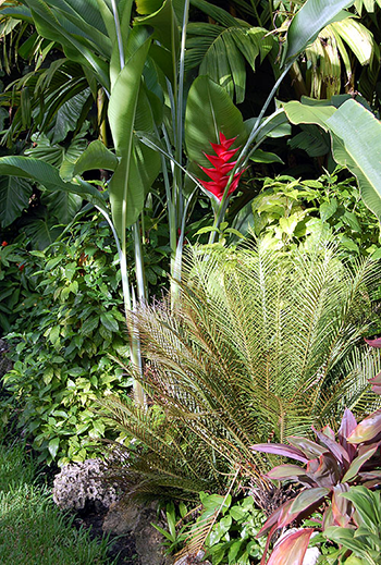 Garden inspiration 4