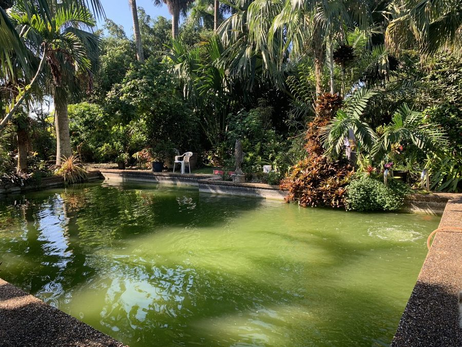 Garden Inspiration
