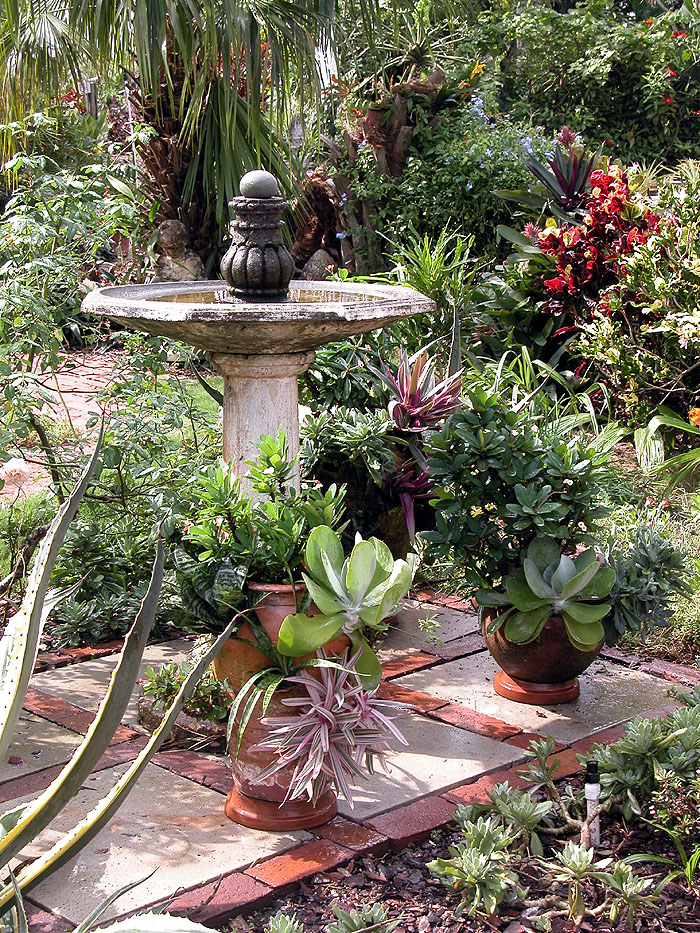 Succulent & Stone Garden