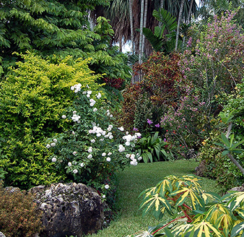 Garden inspiration 1
