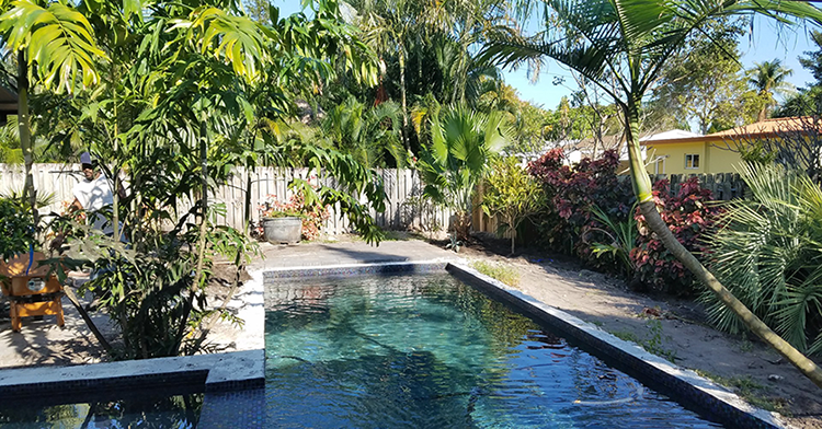 Tropical Pool Makeover