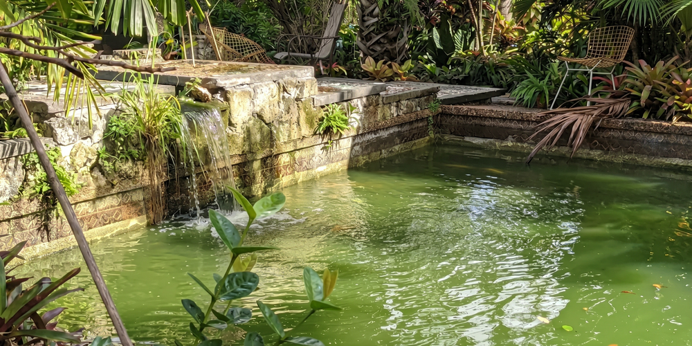 Landscape design projects