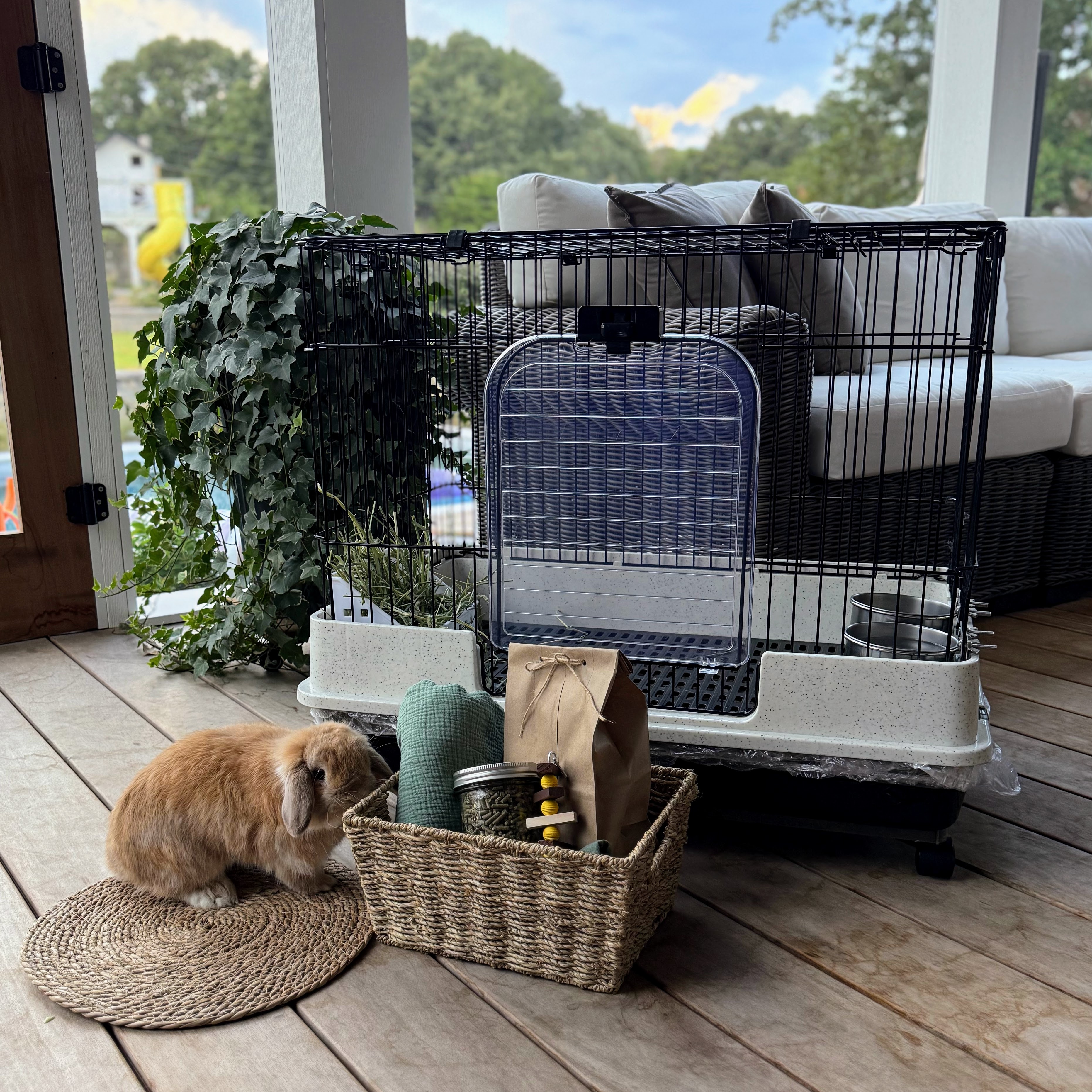 A hosting bunny with the included supplies and enclosure