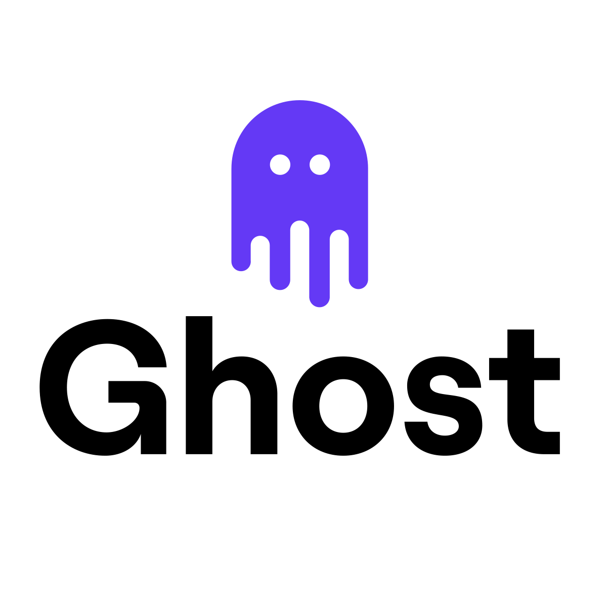Ghost Metrics primary logo
