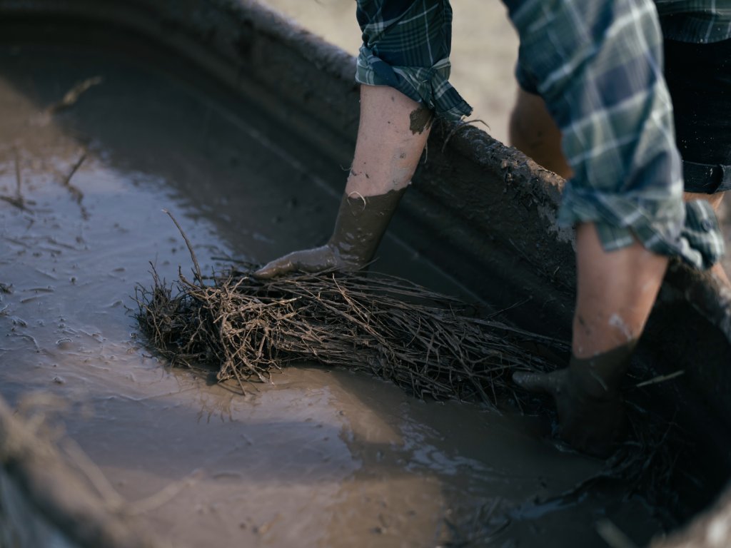 Hands submerging buffelgrass into clay slip in a large basin