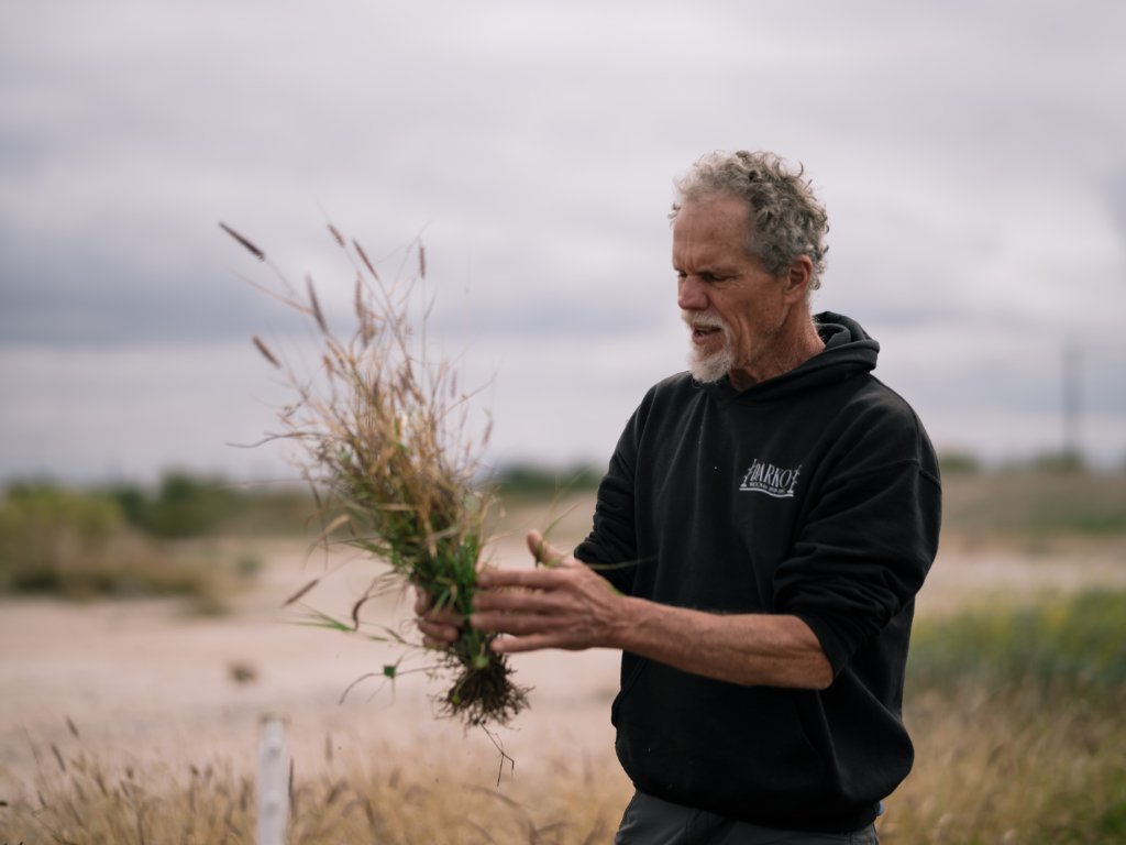 Volunteer holding pulled buffelgrass