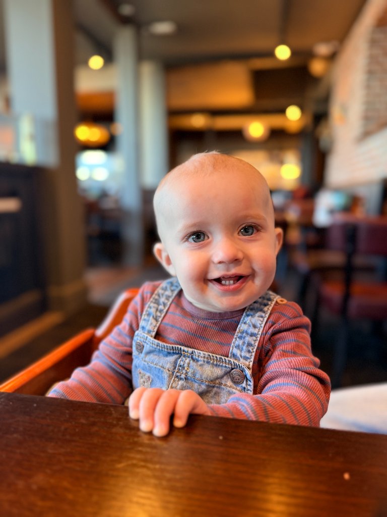 Wilf — Chief Marmalade & Wobble Officer