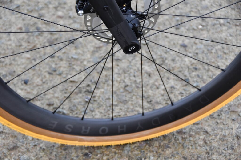 DT Swiss carbon wheel with tan Panaracer tyre and hydraulic disc brake on carbon fork