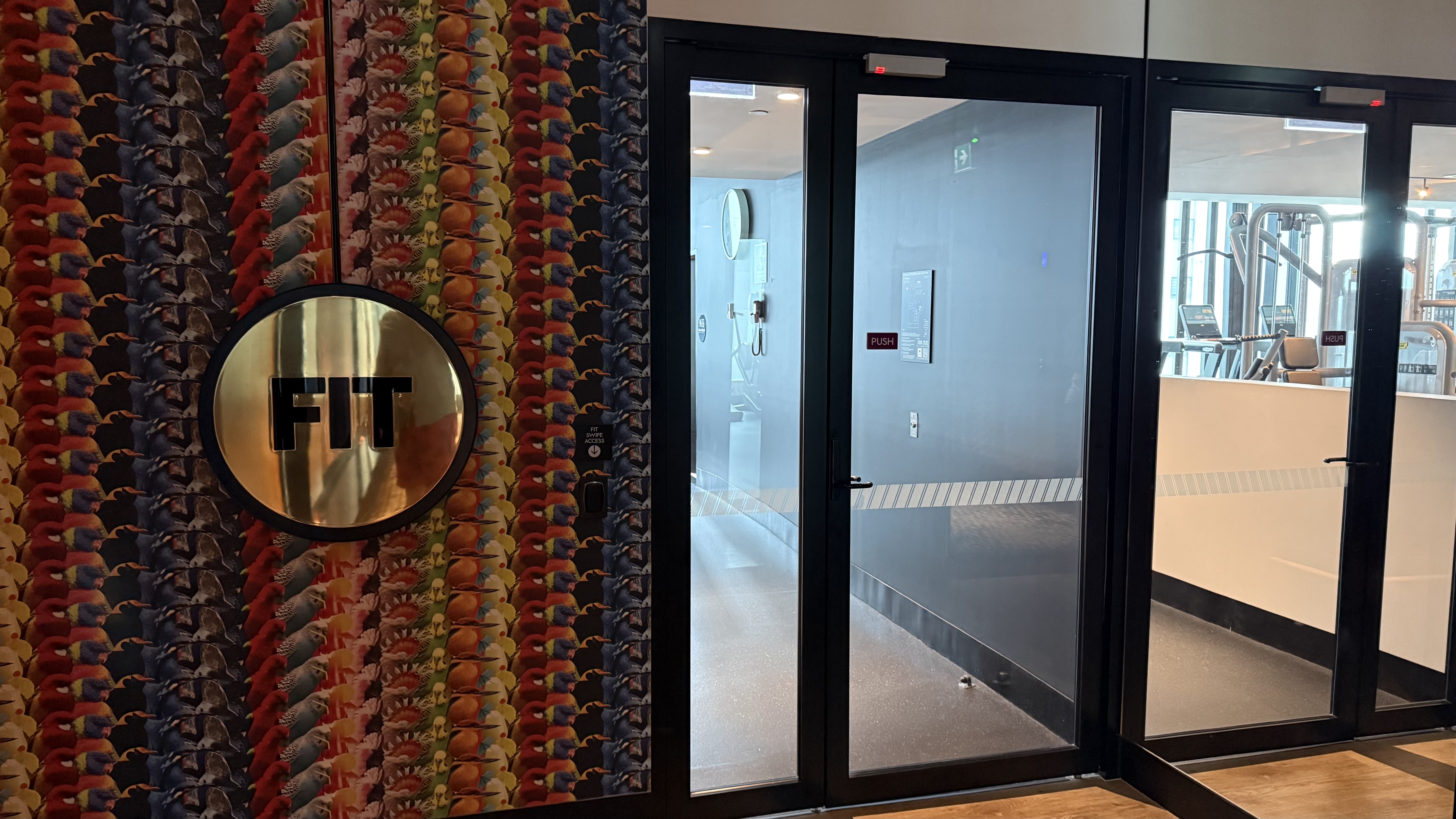 FIT gym entrance — parrot wallpaper, gold plaque and Technogym equipment visible through the glass