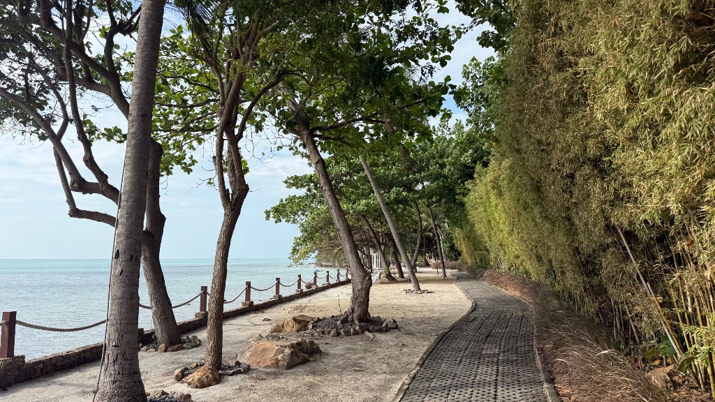 The resort walkways, meandering through tropical planting on the beach front