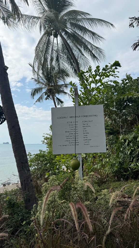 Coconut Weather Forecasting