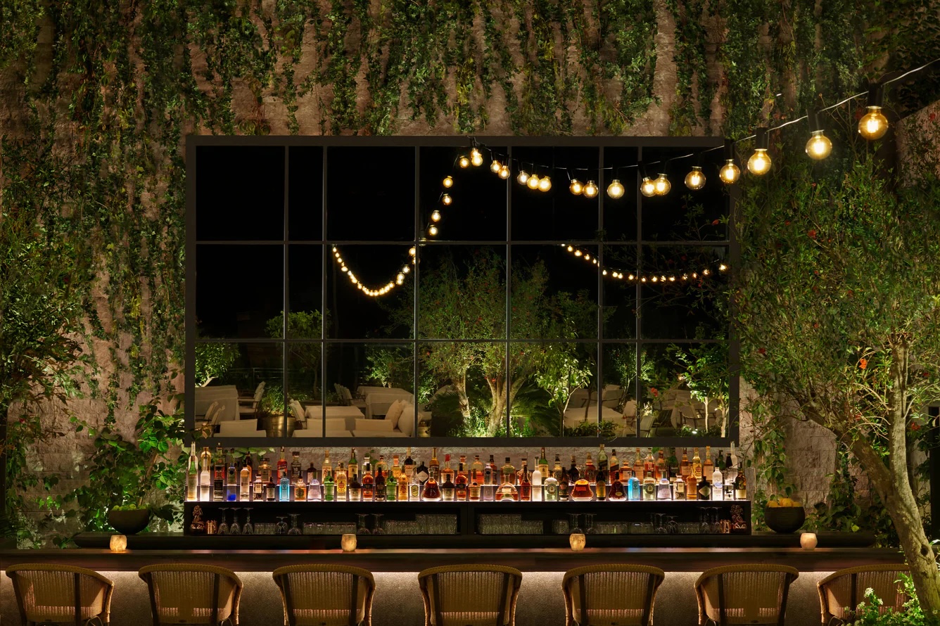 BRAVA Bar — festoon lighting, climbing plants and a full spirits wall at night