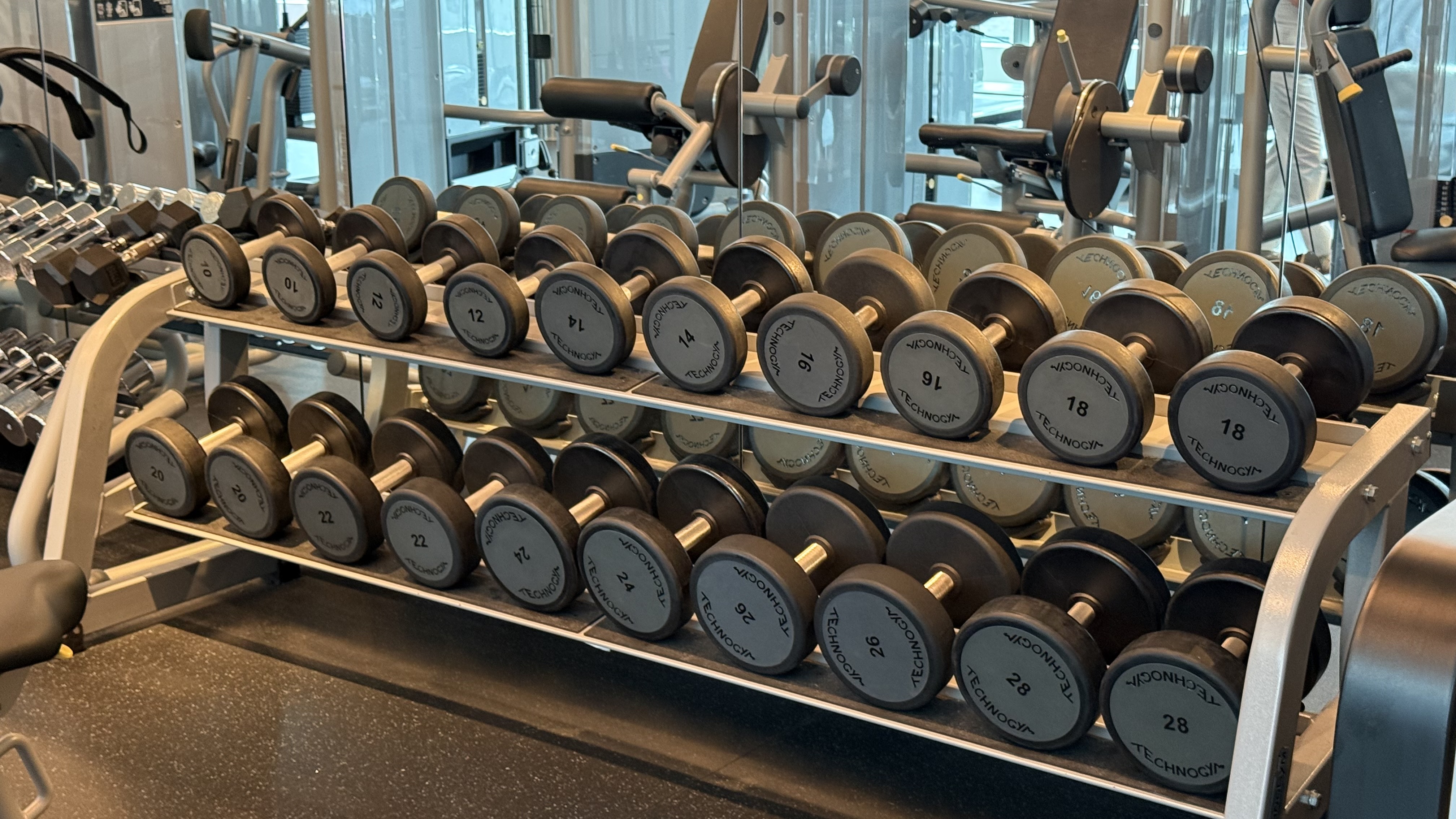 Technogym dumbbell rack — full range from 10kg to 28kg+