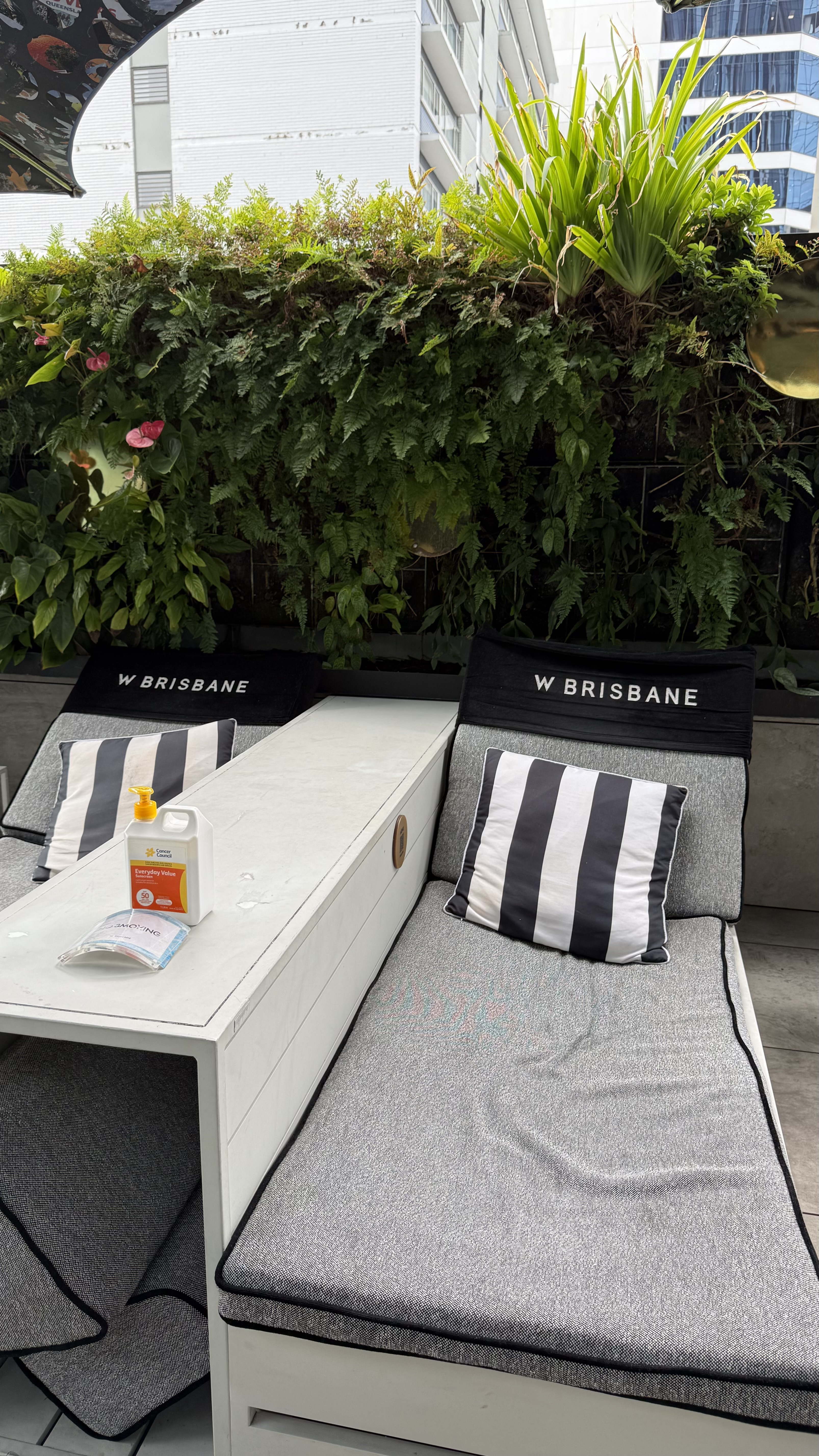 W Brisbane loungers — W Brisbane branded towels, sunscreen and living green wall