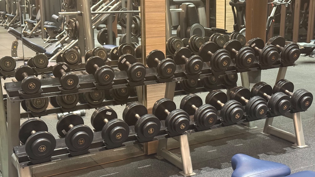 dumbell rack