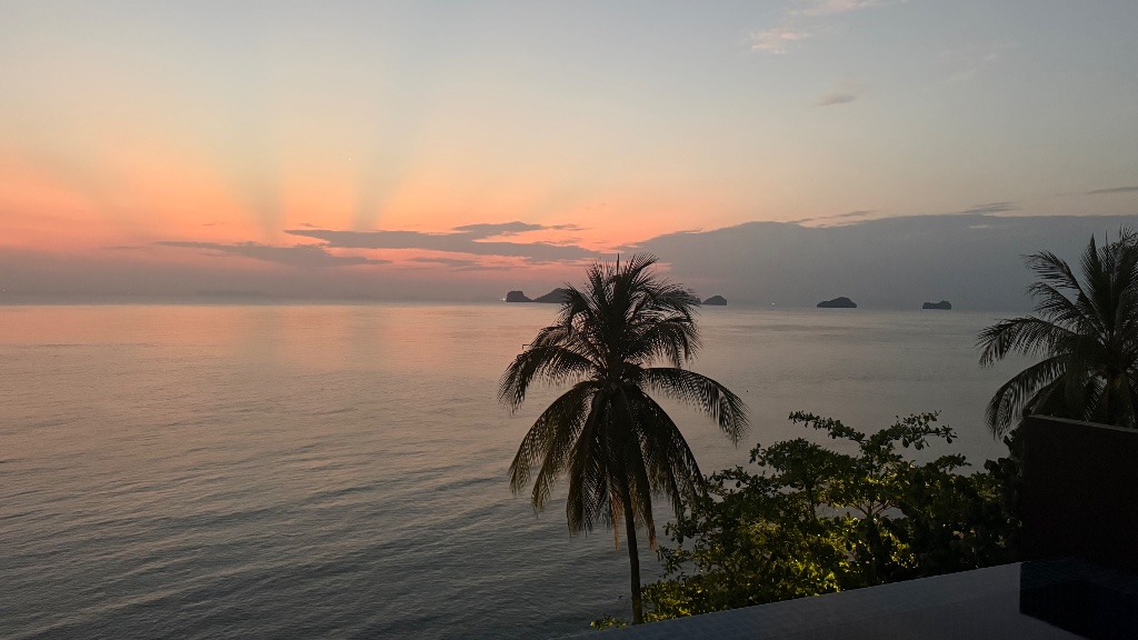 Sunset from the main infinity pool — the palm appears to float between sea and sky