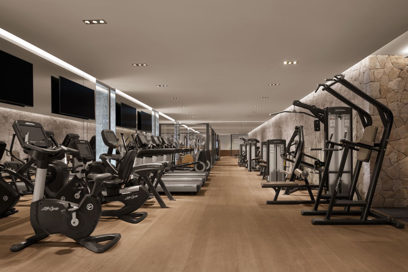 The fitness centre — Life Fitness cardio and strength equipment, stone wall and garden windows