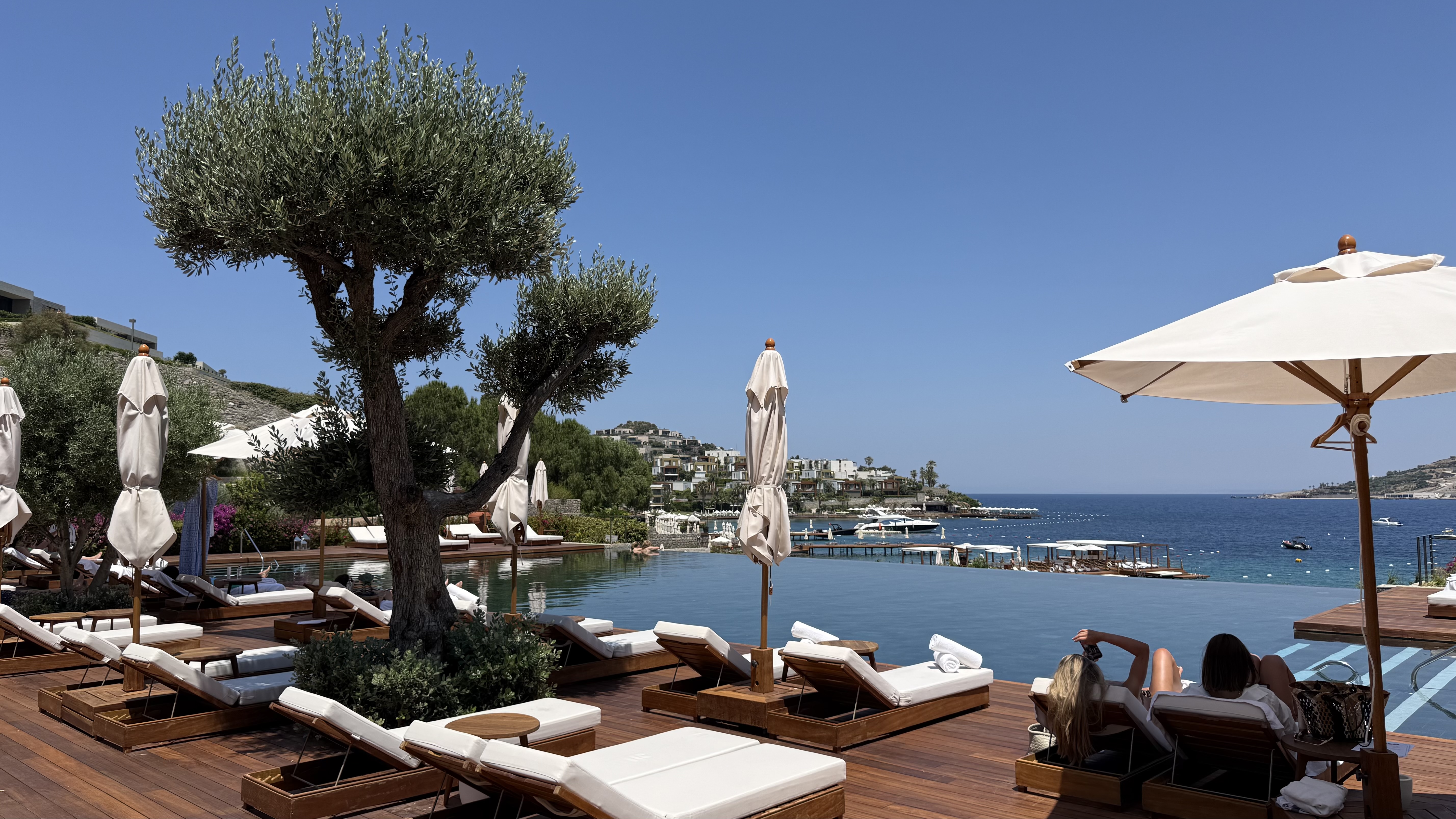 The infinity pool terrace — olive trees, teak loungers and the bay below
