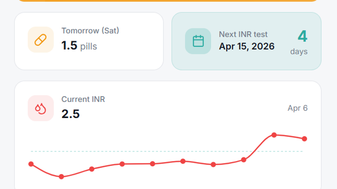 INR Tracker template template preview