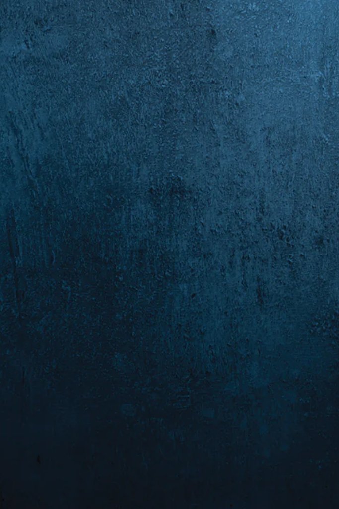 Canvas Deep Sea photo booth backdrop